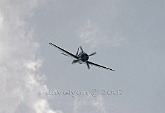 bearcat-2