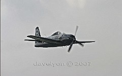 bearcat-3