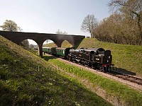Steam engine passing bridge on the Bluebell Railway