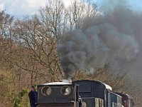 Steam tank engine pulling goods train Bluebell railway