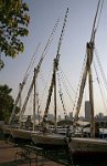 Waiting-feluccas-Cairo-1